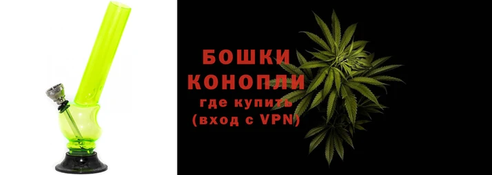 трава Няндома