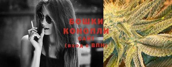 трава Няндома