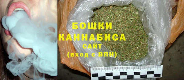 трава Няндома