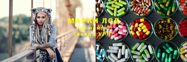 трава Няндома