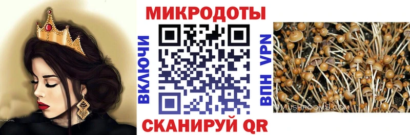 Псилоцибиновые грибы Cubensis  blacksprut ссылки  Салехард 